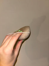 Load image into Gallery viewer, Konjac Sponge
