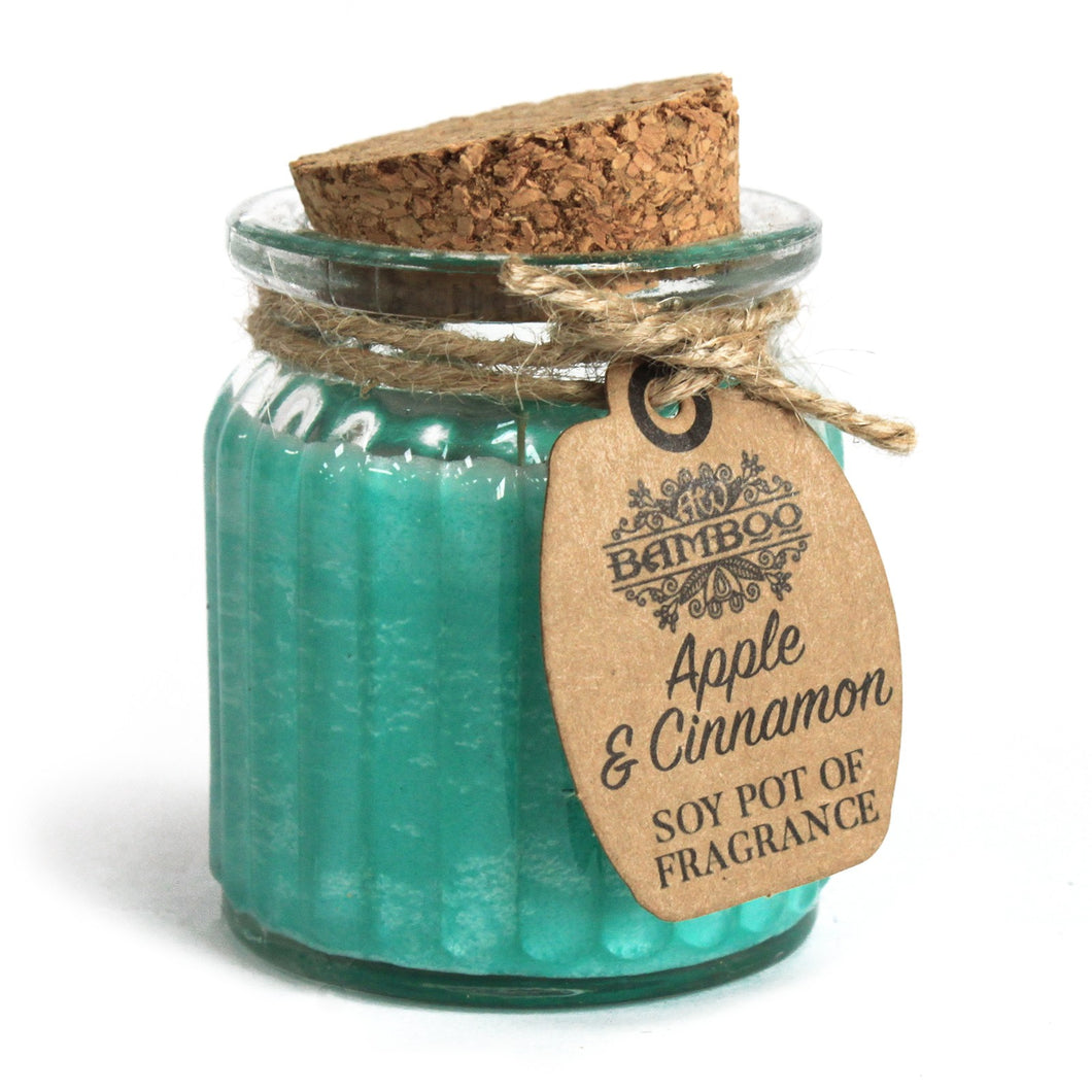apple cinnamon bamboo soy pot of fragrance soywax candle